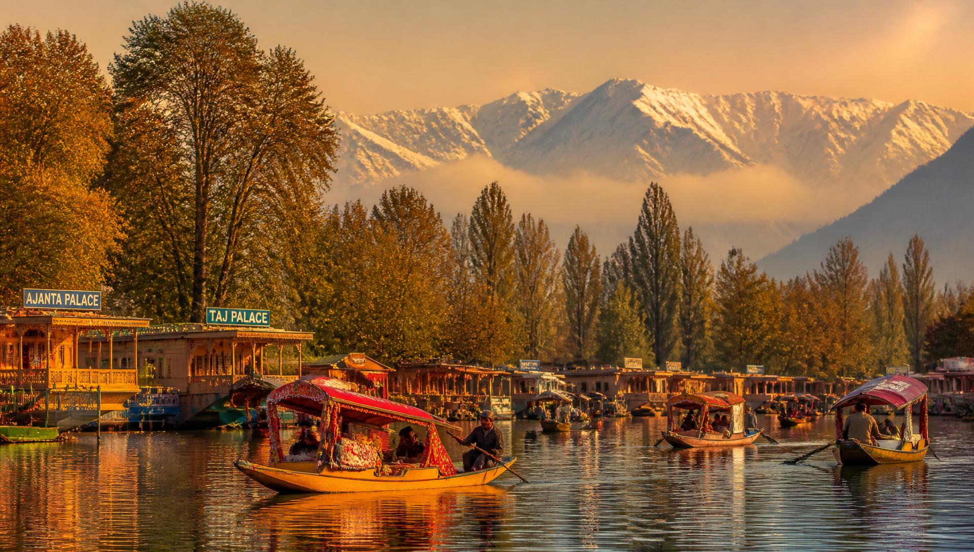 Shikara boats on Dal Lake at golden hour, Srinagar